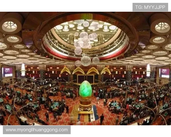 澳门华都娱乐场最新消息全面解析，带你掌握第一手最新动态